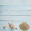 Sea Ã¢â¬â¹Ã¢â¬â¹shells, anchor, blue cord, white fishing net, starfish, pebbles on a white wooden background with place for text,